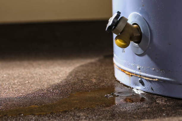 Water damage restoration experts in NC