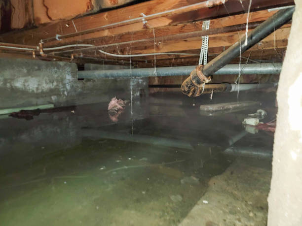 Best Water damage restoration experts  in Mint Hill, NC