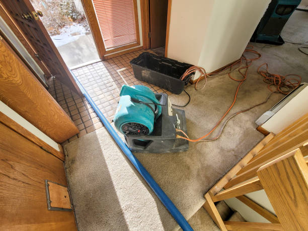 Best Commercial water damage restoration  in Mint Hill, NC