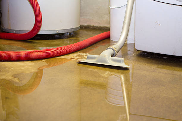 Best Commercial water damage restoration  in Mint Hill, NC