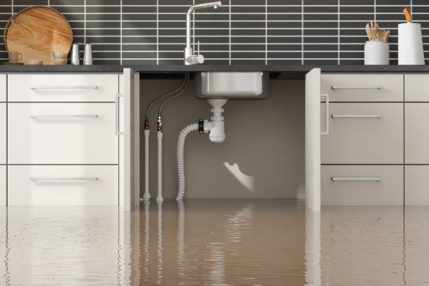 Best Flooded house restoration  in Mint Hill, NC